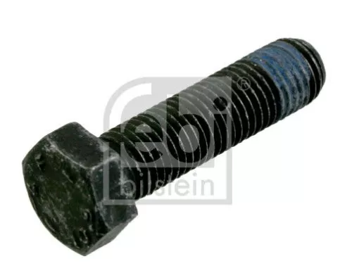 Schraube, Bremssattel