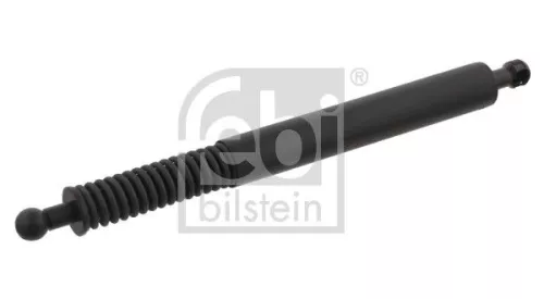 Gasfeder, Koffer-/Laderaum