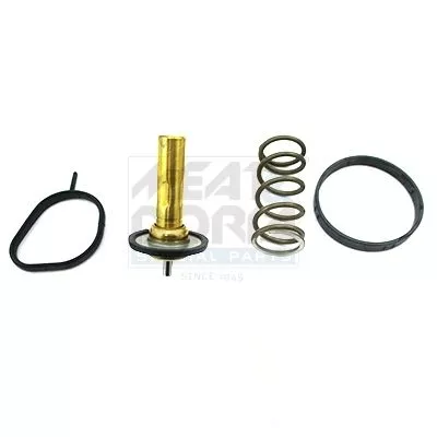 Thermostat, Kühlmittel