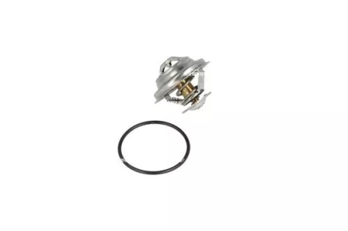 Thermostat, Kühlmittel