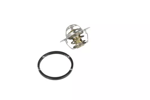 Thermostat, Kühlmittel