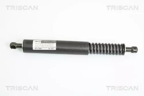 Gasfeder, Koffer-/Laderaum