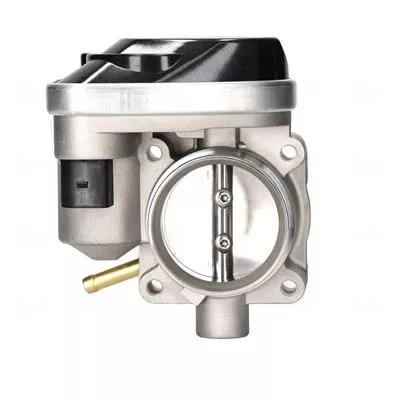 Drosselklappenstutzen