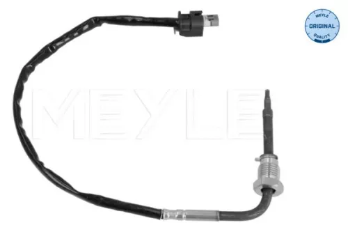 Sensor, Abgastemperatur