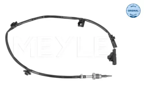 Sensor, Abgastemperatur