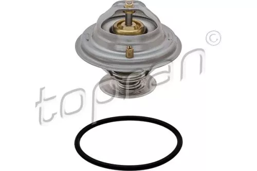 Thermostat, Kühlmittel