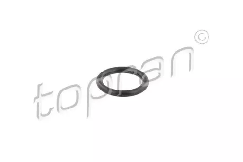 Dichtring, Einspritzventil