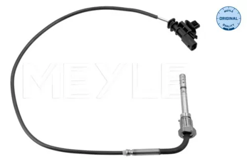 Sensor, Abgastemperatur