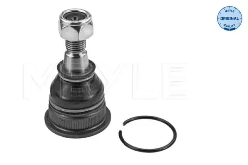 Trag-/Führungsgelenk