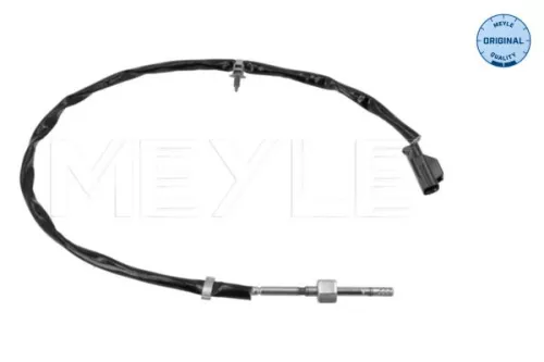 Sensor, Abgastemperatur