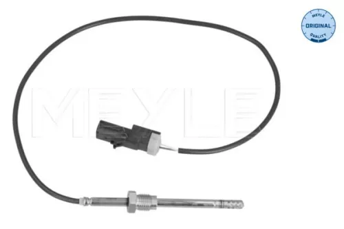 Sensor, Abgastemperatur