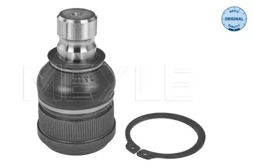 Trag-/Führungsgelenk