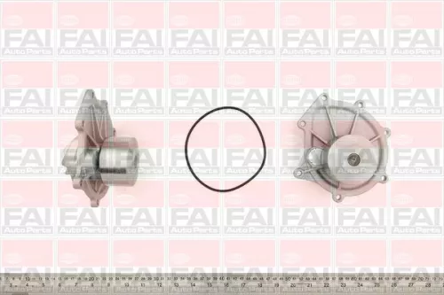 Wasserpumpe, Motorkühlung