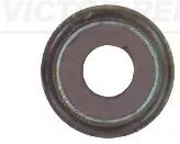 Dichtring, Ventilschaft