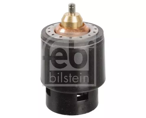 Thermostat, Kühlmittel