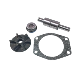 Wasserpumpen-Reparatursatz